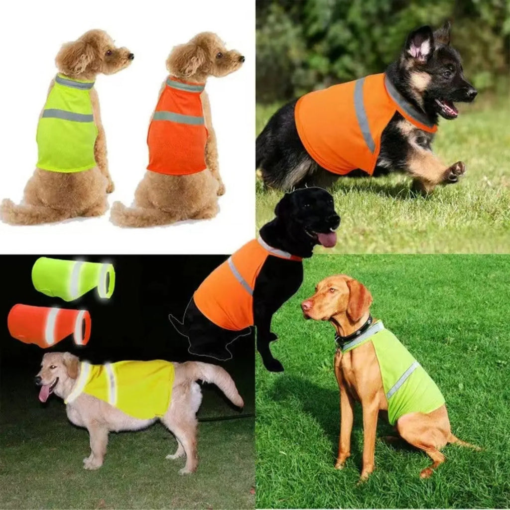 Dog wearing a reflective high-visibility vest – photo 2