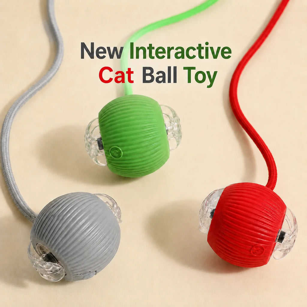 Cat chasing an automatic rolling ball toy with a tail – photo 7