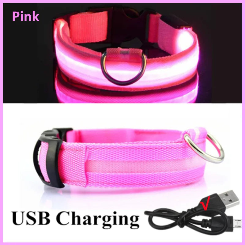 LED Light-Up Dog Collar, USB or Battery Powered