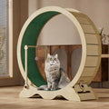 114cm natural wood cat exercise wheel with green carpet running track