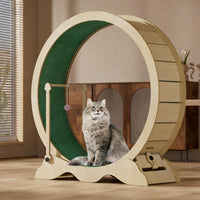 114cm Cat Exercise Wheel with Carpet Track & Lock