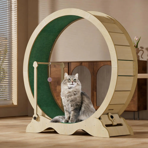 114cm natural wood cat exercise wheel with green carpet running track