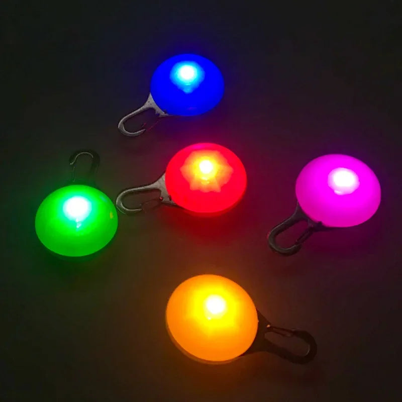 LED light clipped to a dog collar – photo 8