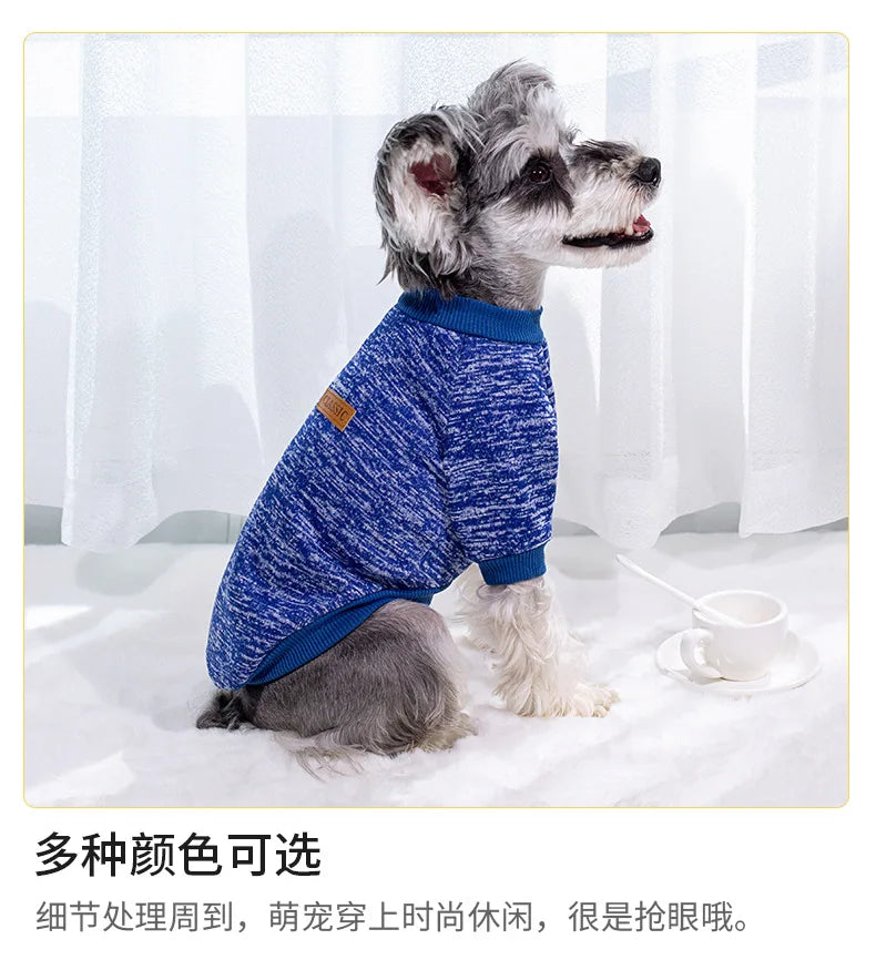 Small dog wearing a soft knitted round neck jumper – photo 11