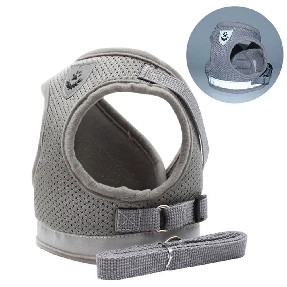 Reflective Mesh Harness & Lead Set for Cats