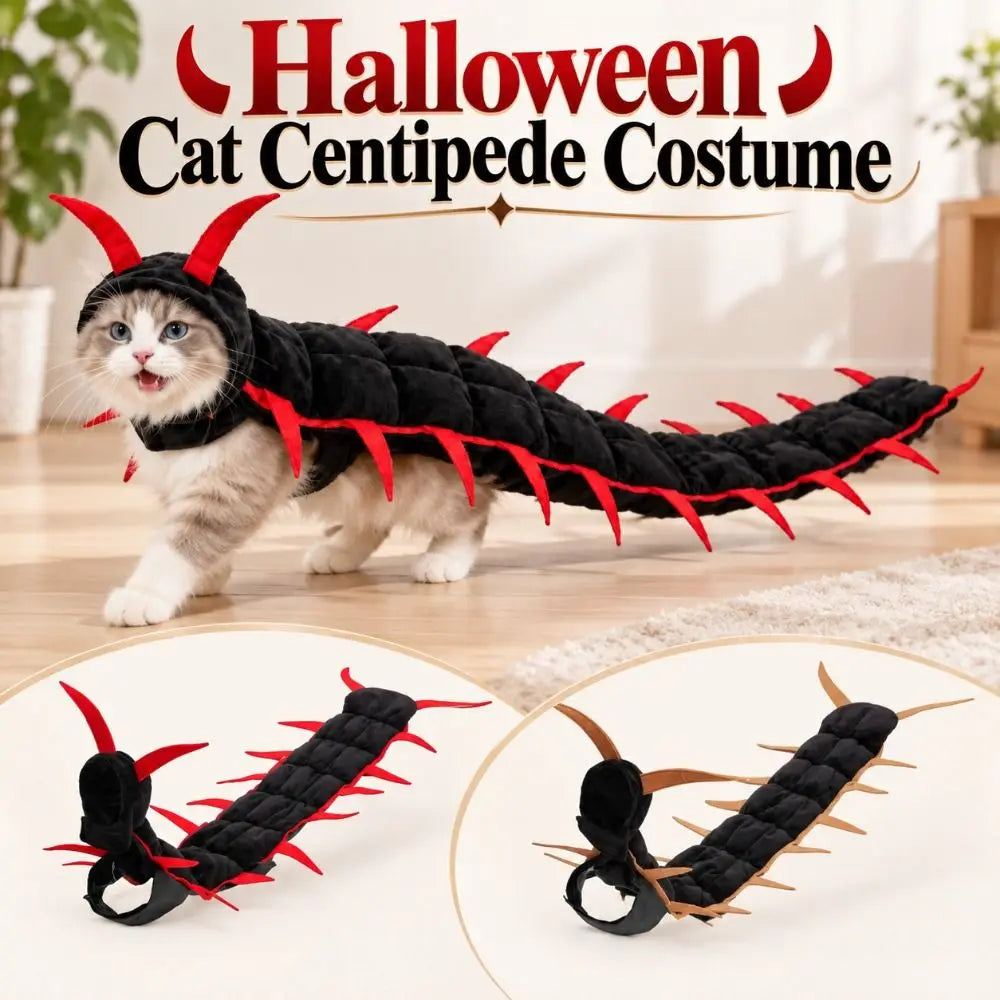 Cat wearing a wiggly centipede costume
