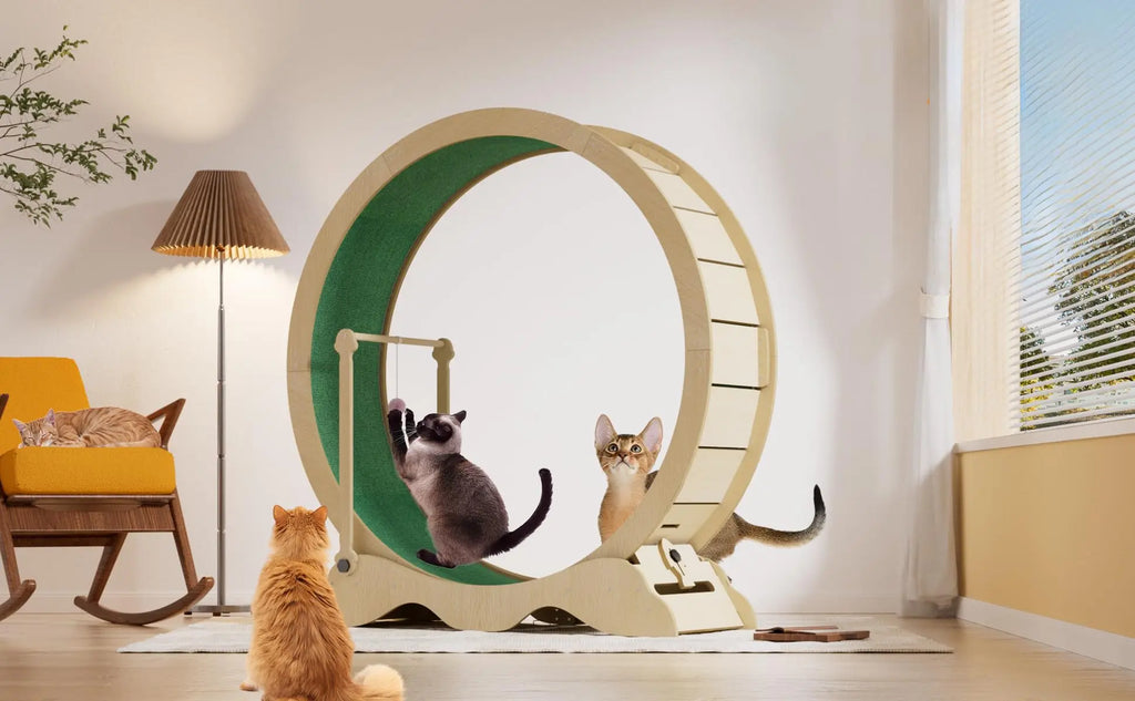 114cm Cat Exercise Wheel with Carpet Track & Lock