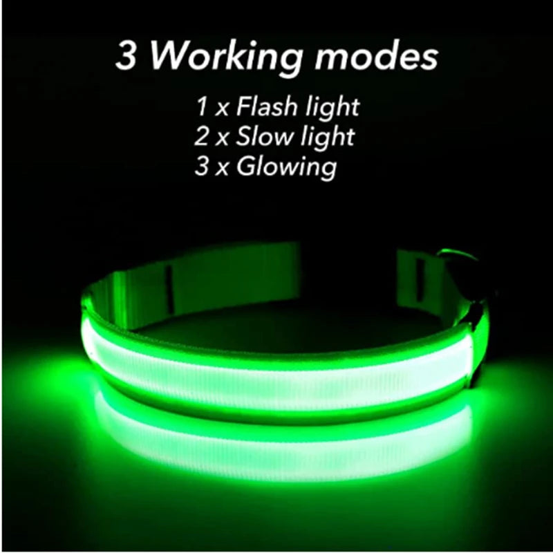 LED Light-Up Dog Collar, USB or Battery Powered