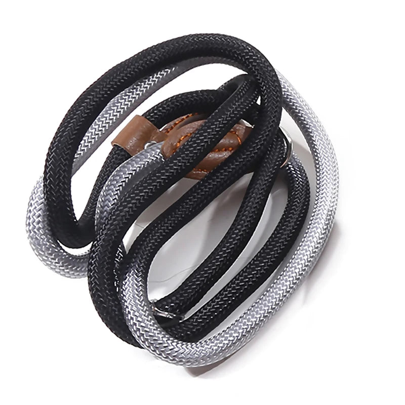 Braided Slip Lead for Dogs