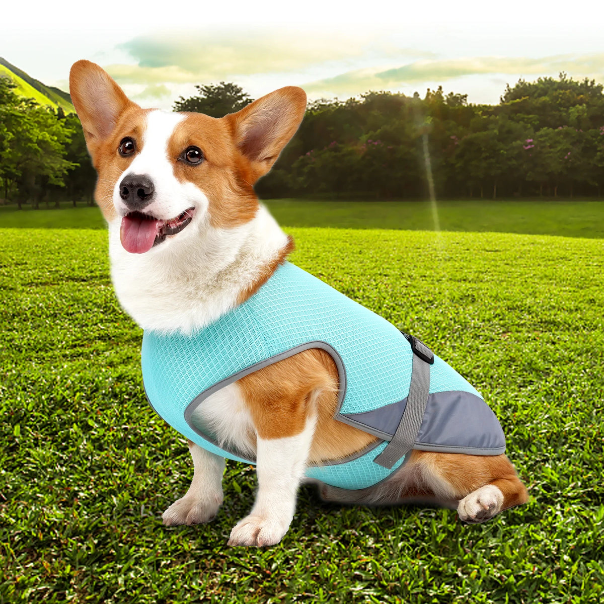 Dog wearing a lightweight breathable cooling vest with reflective strips – photo 7