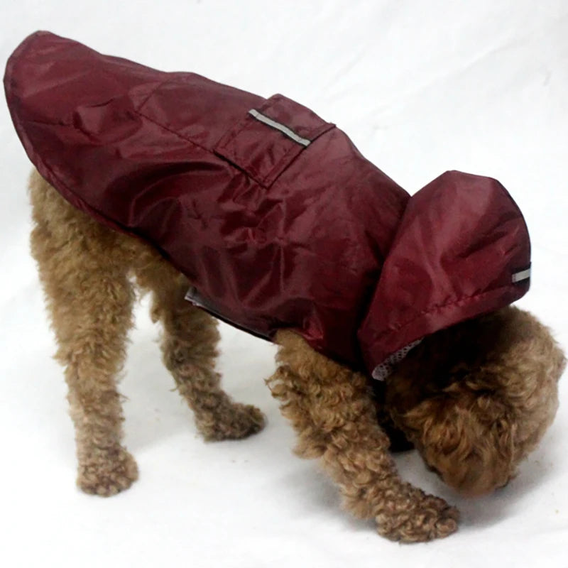 Reflective Hooded Dog Raincoat with Lead Hole
