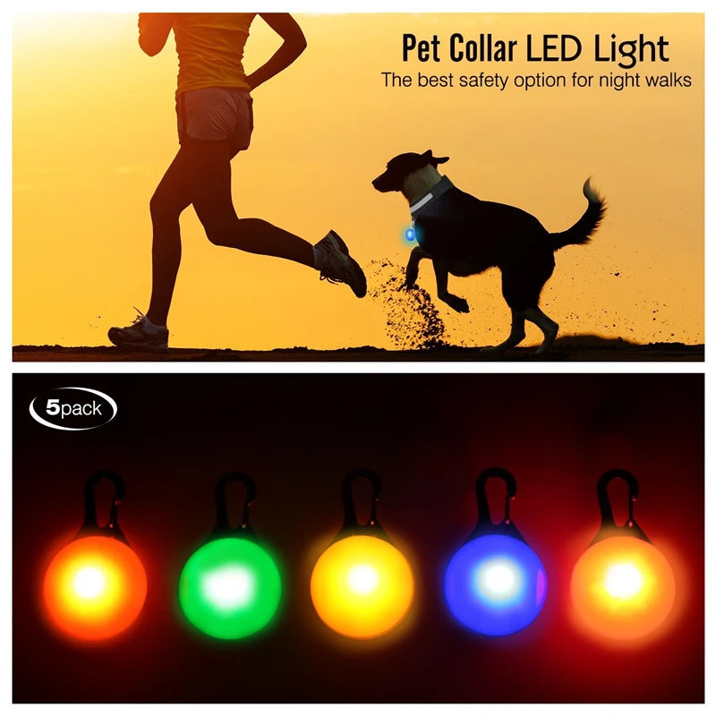 LED Light-Up Dog Collar, USB or Battery Powered