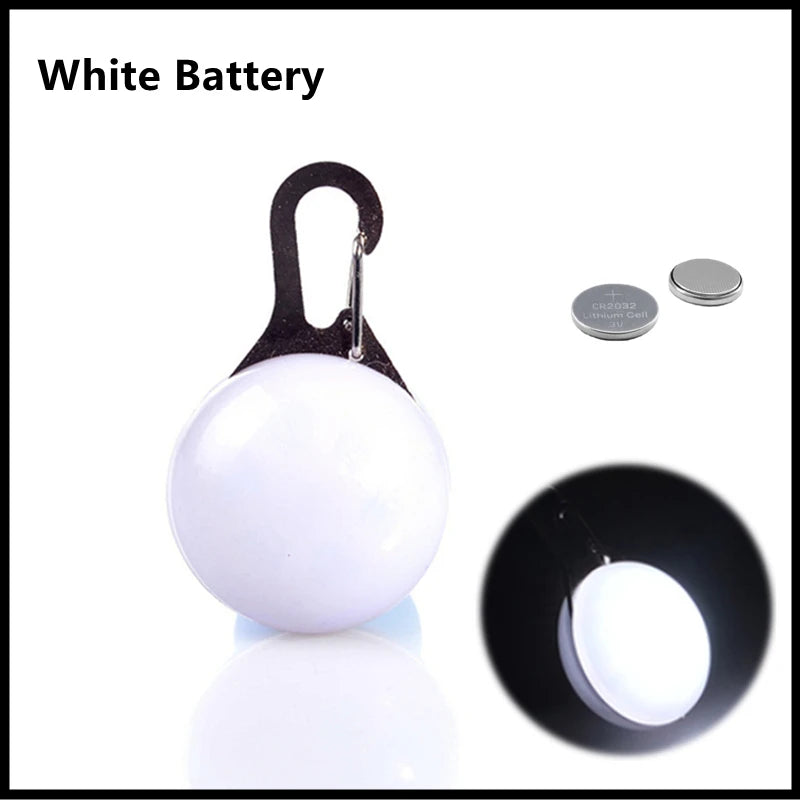 LED Light-Up Dog Collar, USB or Battery Powered