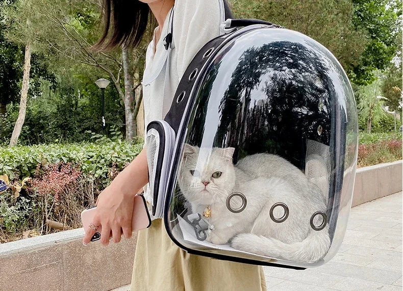 Clear Bubble Pet Carrier Backpack for Cats