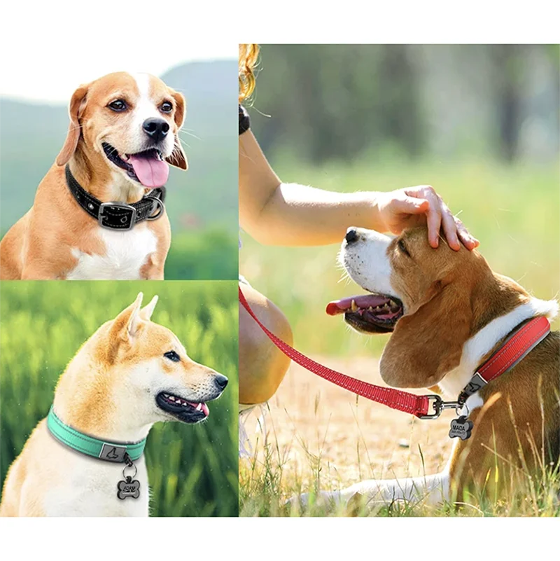 Padded Reflective Dog Collar with Neoprene Lining