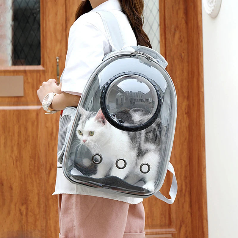 Grey clear bubble cat carrier backpack