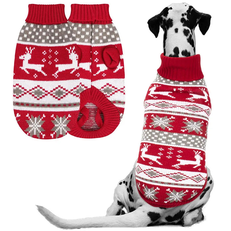 Dog wearing a Christmas reindeer knitted jumper