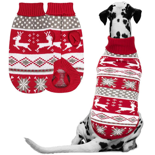 Dog wearing a Christmas reindeer knitted jumper