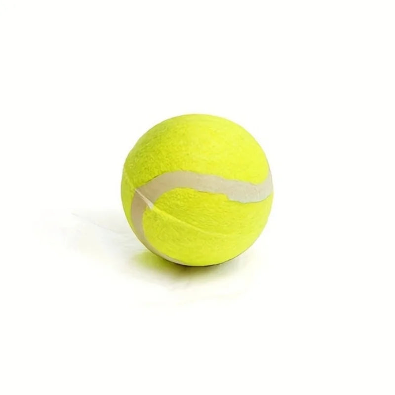 Dog ball launcher stick with a tennis ball in the park – photo 8