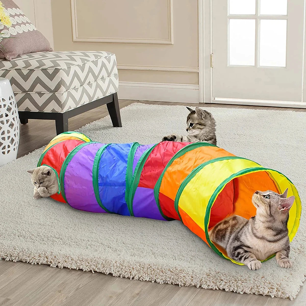 Cat playing in a foldable fabric play tunnel