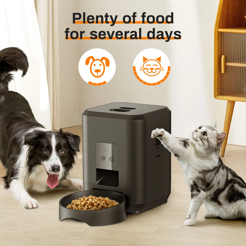 Automatic Timed Pet Feeder for Cats & Dogs