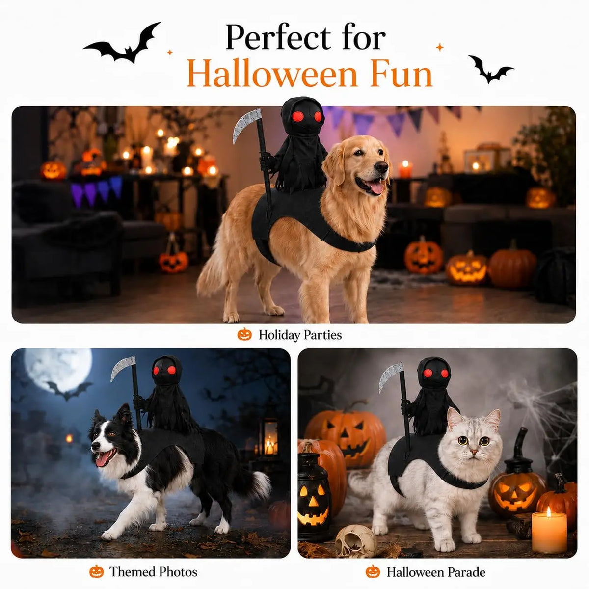 Pet wearing a reaper knight rider Halloween costume on a felt saddle – photo 12