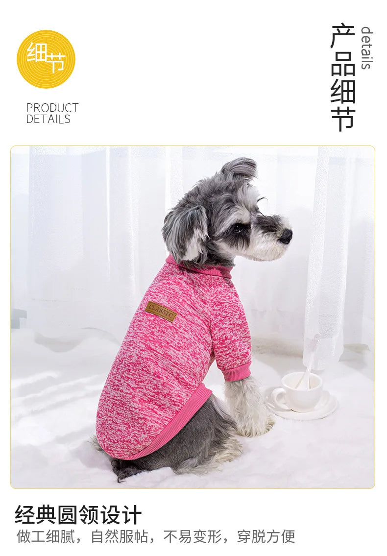 Small dog wearing a soft knitted round neck jumper – photo 8
