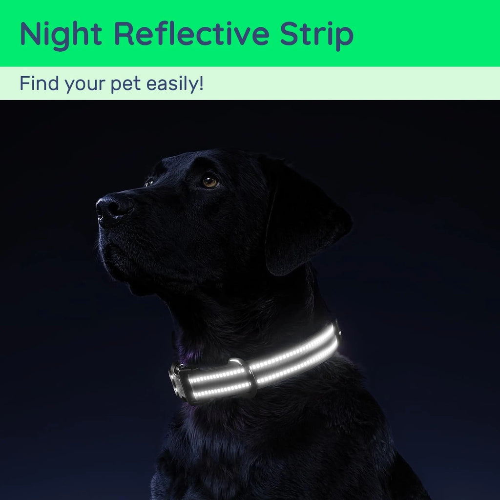 Reflective Dog Collar with Tracker Holder – photo 5