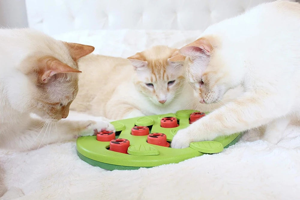 Green interactive treat puzzle feeder for cats – photo 9