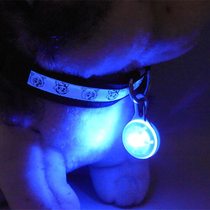 LED Light-Up Dog Collar, USB or Battery Powered