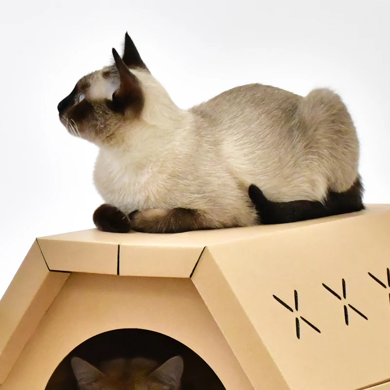 Cardboard cat scratcher house with scratch pads – photo 4