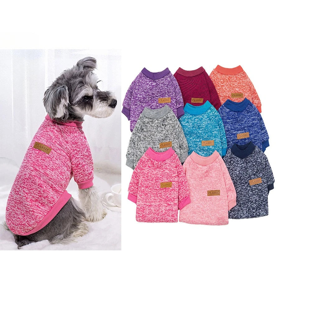 Small dog wearing a soft knitted round neck jumper