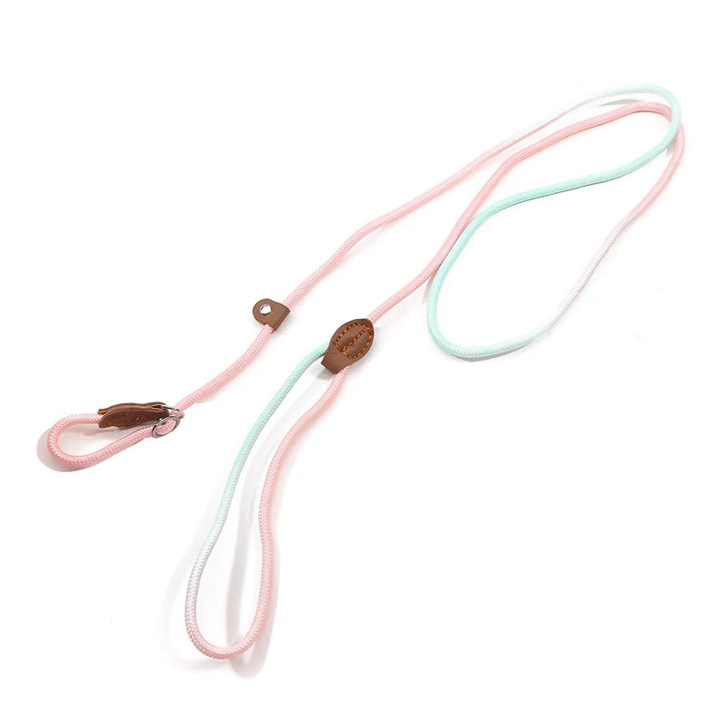 Braided Slip Lead for Dogs