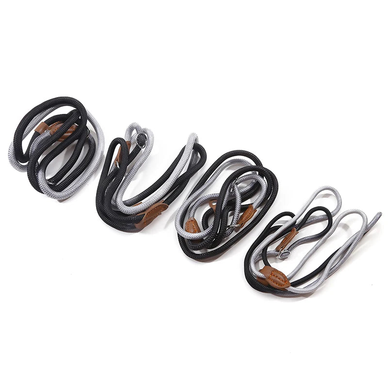 Braided Slip Lead for Dogs