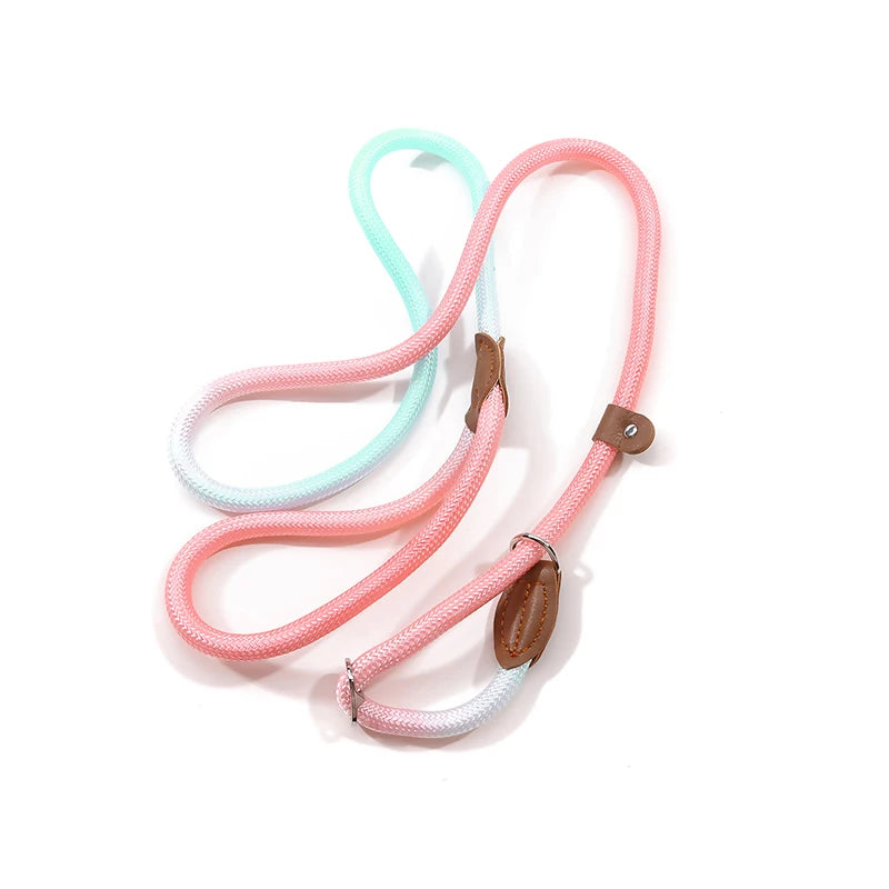 Braided Slip Lead for Dogs