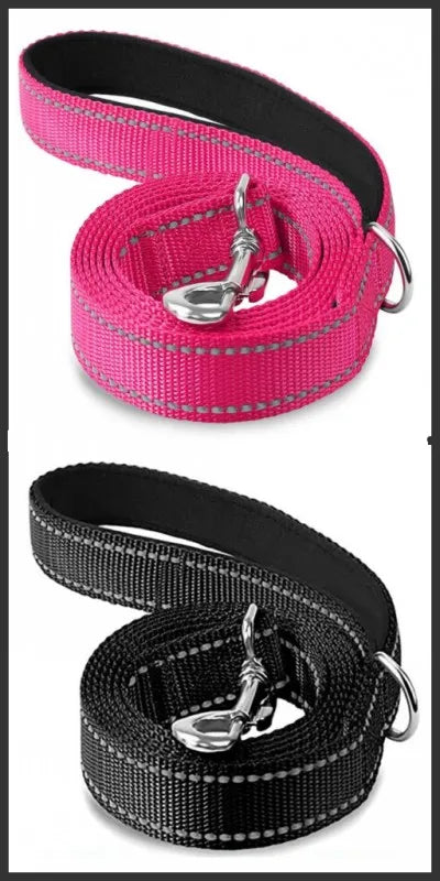 Reflective Lead for Dogs & Cats