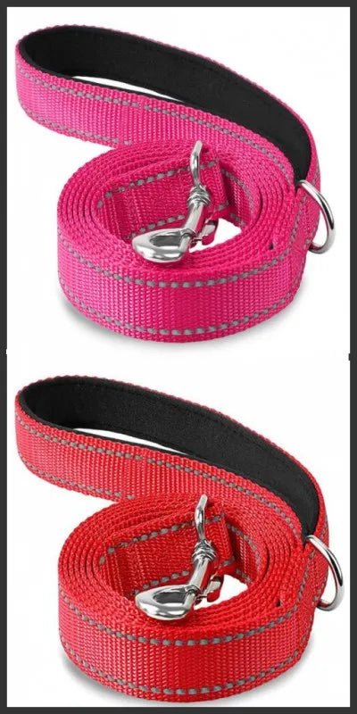 Reflective Lead for Dogs & Cats