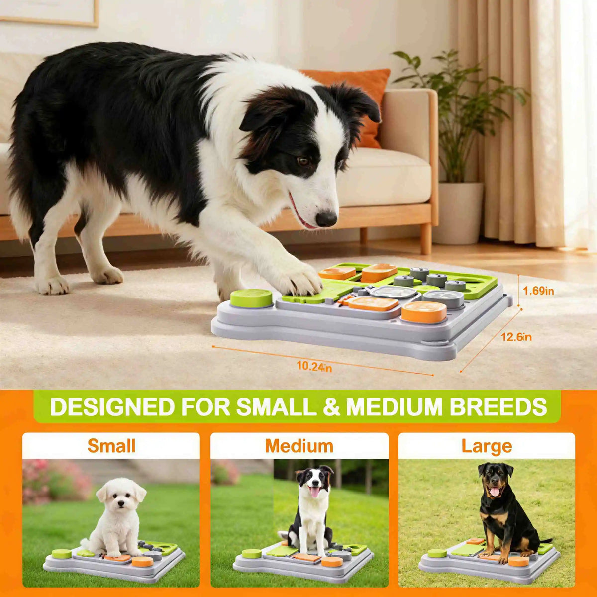 Dog playing with an interactive treat puzzle toy – photo 6