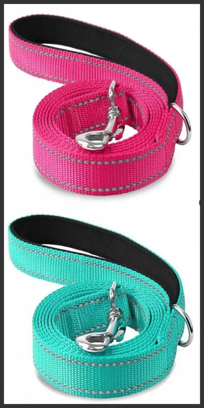 Reflective Lead for Dogs & Cats