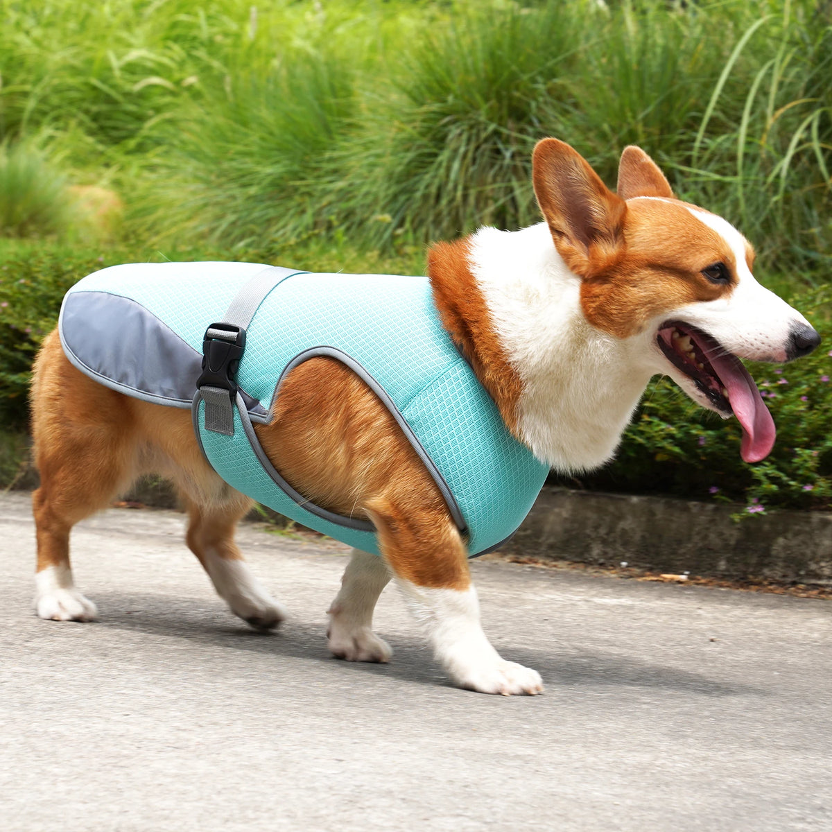 Dog wearing a lightweight breathable cooling vest with reflective strips – photo 3