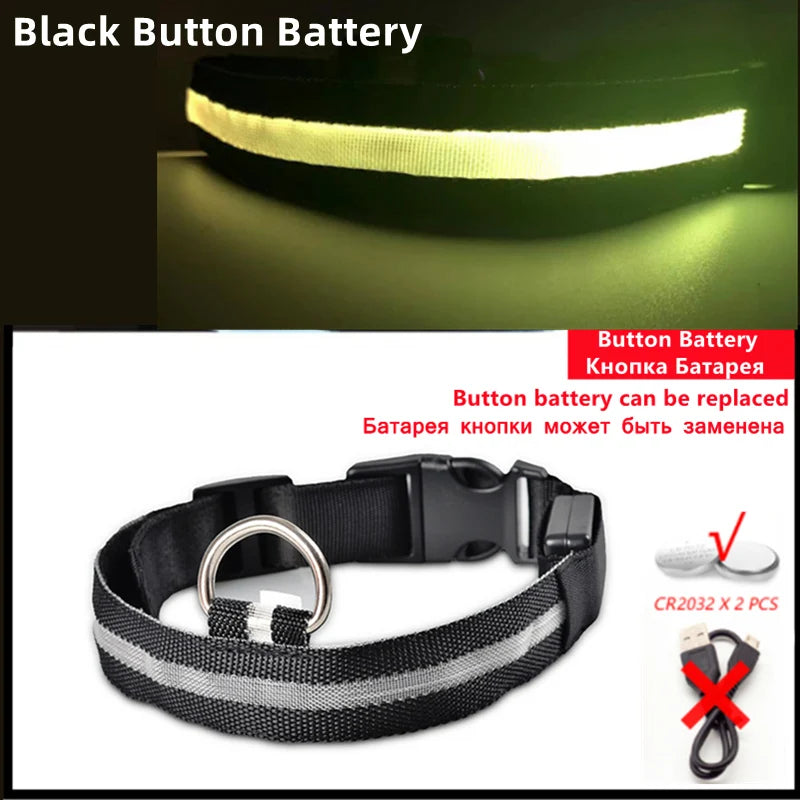 LED Light-Up Dog Collar, USB or Battery Powered