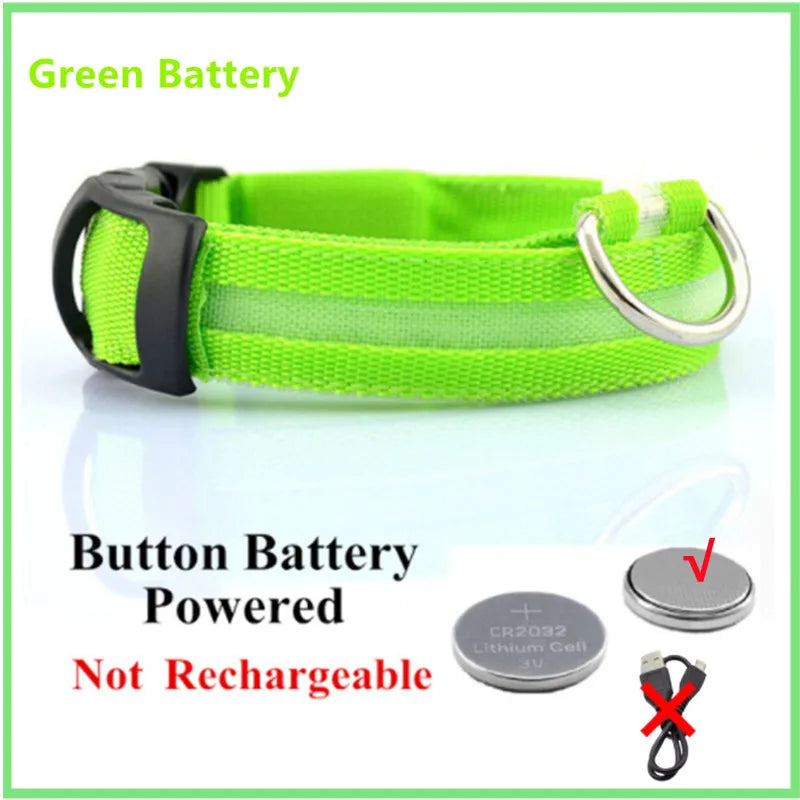 LED Light-Up Dog Collar, USB or Battery Powered