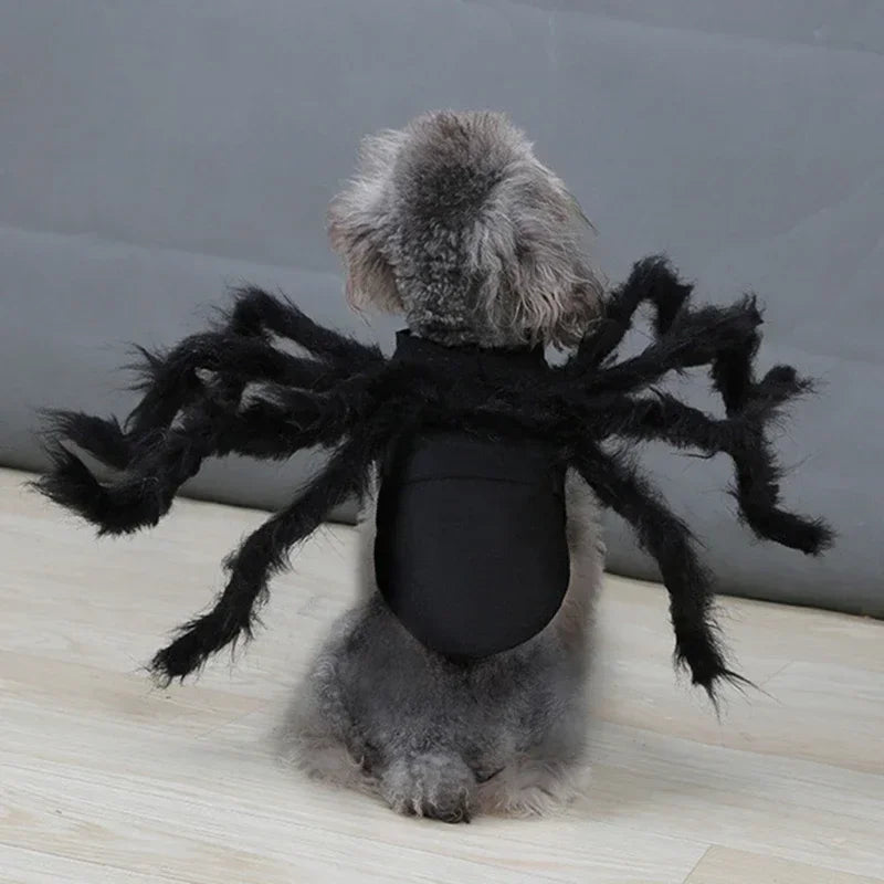 Cat wearing a black furry spider costume – photo 4