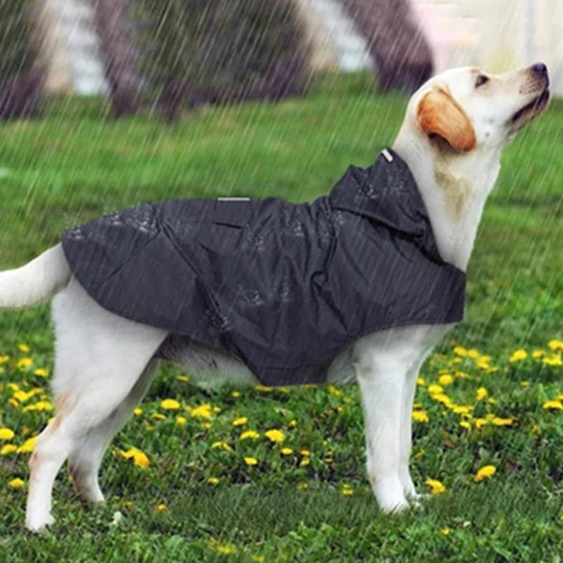 Reflective Hooded Dog Raincoat with Lead Hole