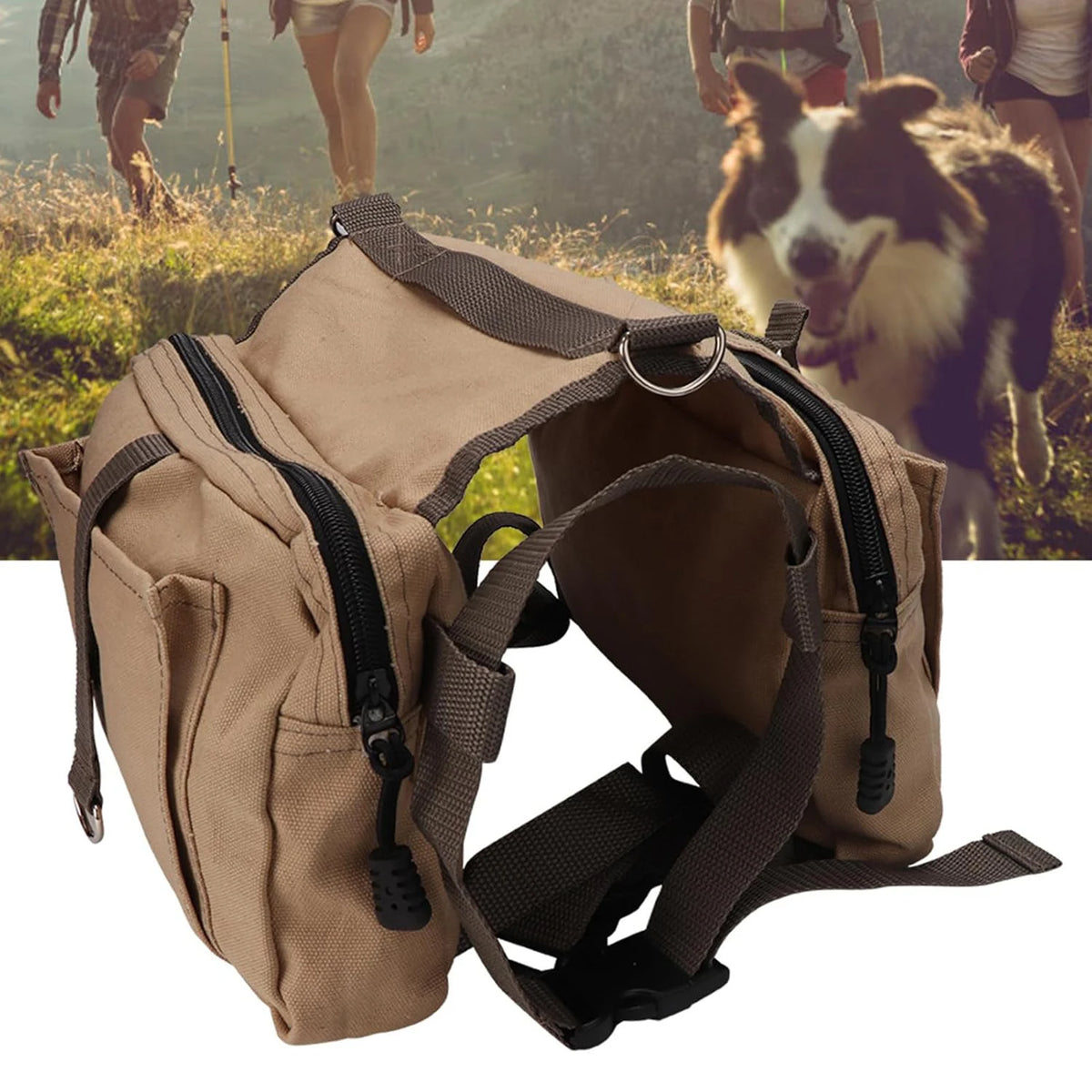 Dog wearing a canvas saddle bag backpack