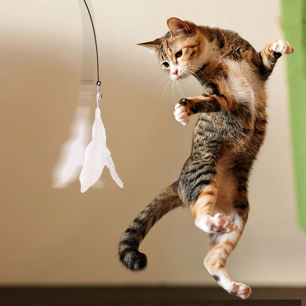 Cat playing with a feather and bell teaser wand on a suction cup – photo 9