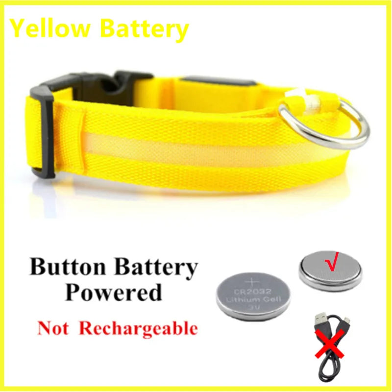 LED Light-Up Dog Collar, USB or Battery Powered