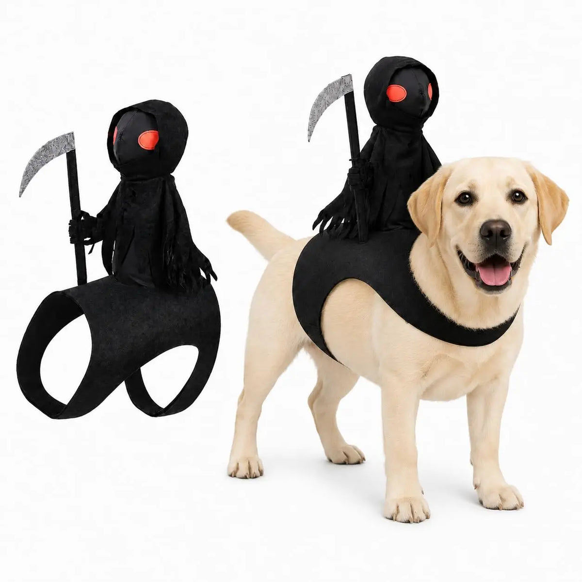 Pet wearing a reaper knight rider Halloween costume on a felt saddle