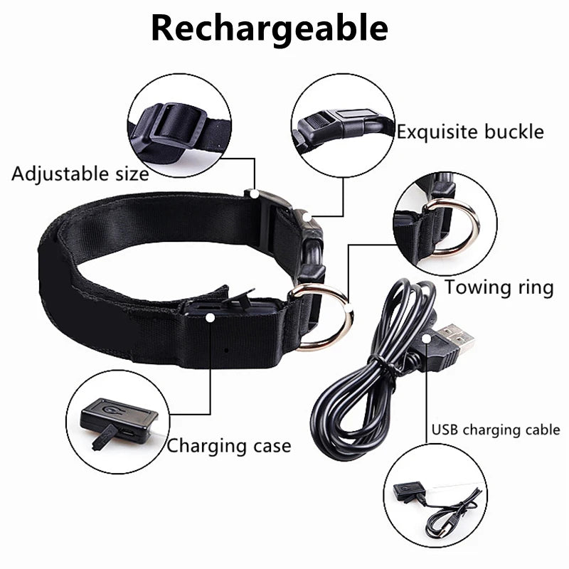 LED Light-Up Dog Collar, USB or Battery Powered