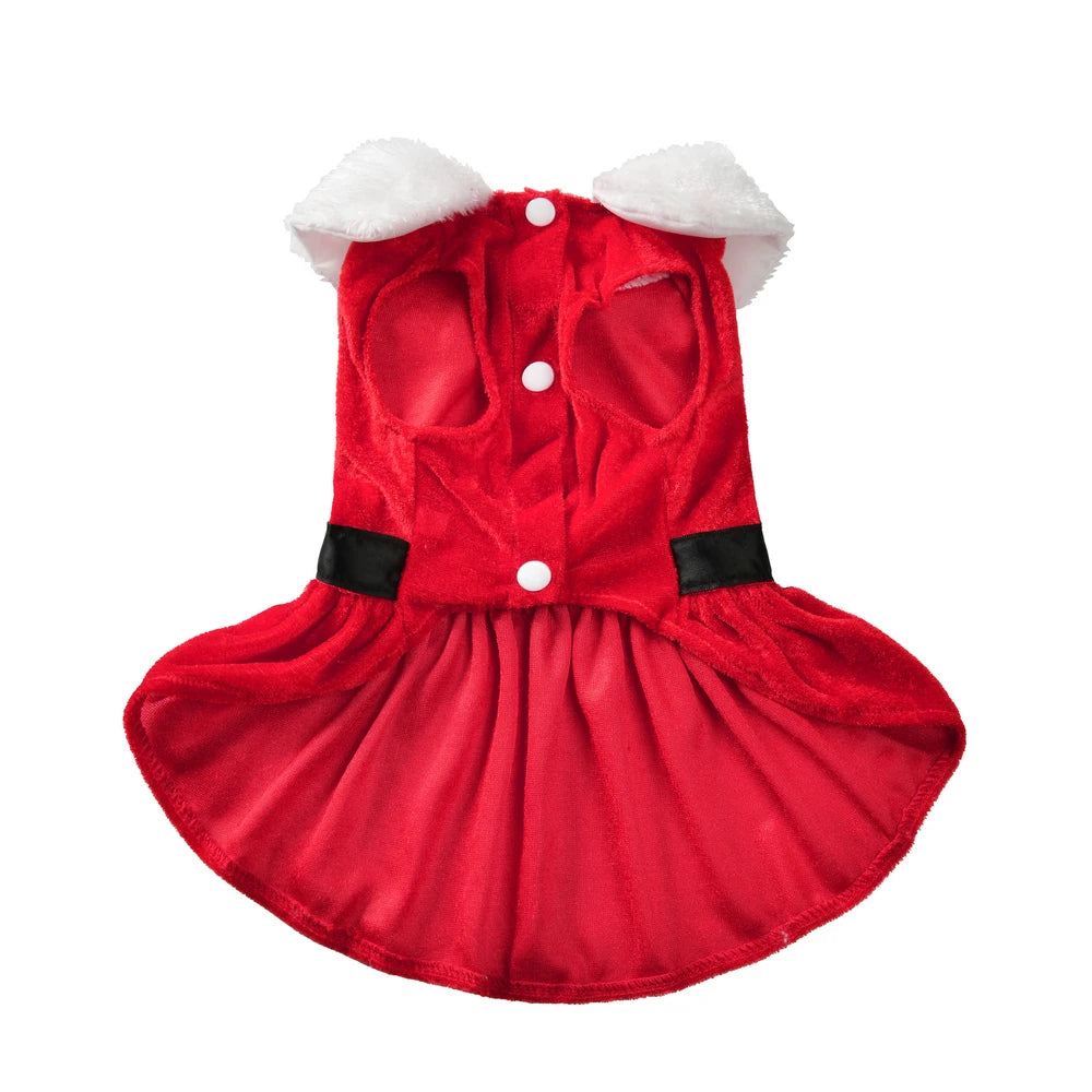 Cat wearing a red Santa Christmas dress – photo 3
